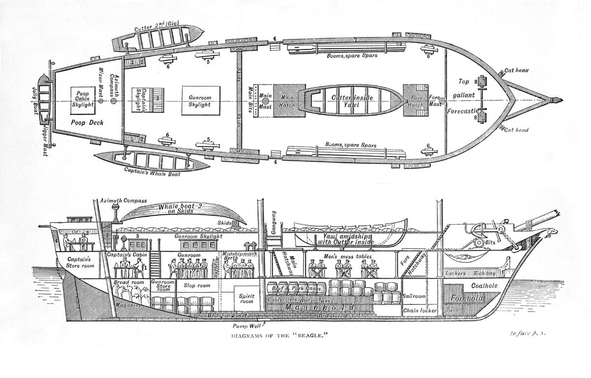 HMS Beagle design detail - Britomart was of the same design